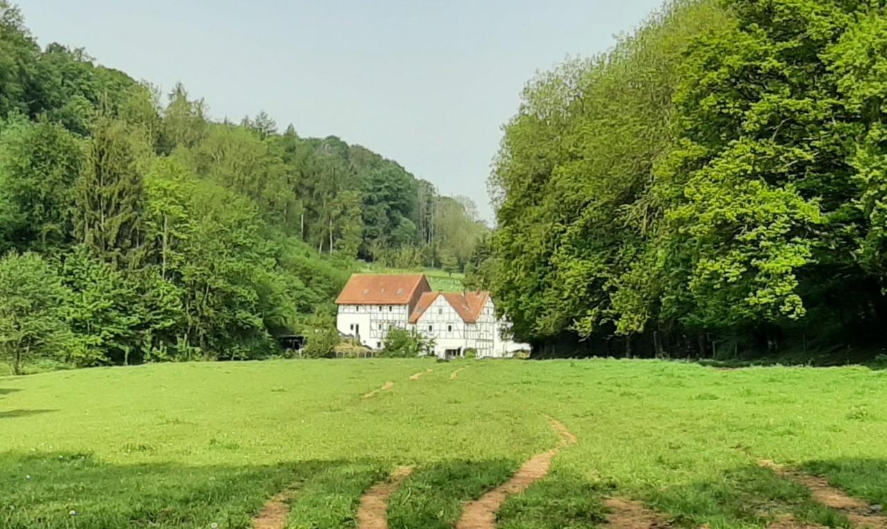 דירות ואלדק Haus An Der Werbe מראה חיצוני תמונה